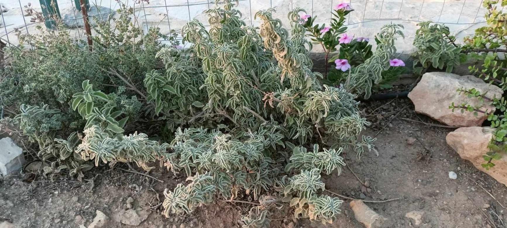 הוילה קלמאקי Korali House מראה חיצוני תמונה
